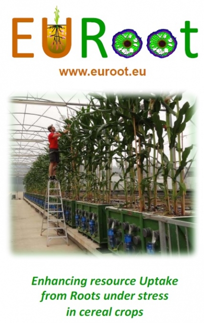 EURoot Leaflet cover